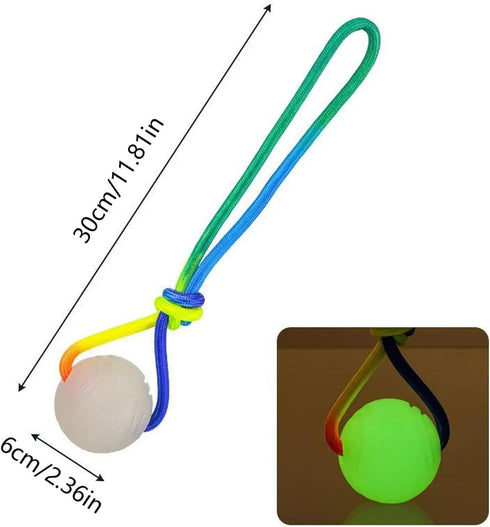 pureza 2 Pack Interactive Dog Ball Toys - Glowing Teether with Rope for Small Medium Large Breeds