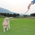 4 Sets Bungee Dog Leash Heavy Duty with 2 Handle Control, Quick Release for Cat Dog Pet Training Leashes