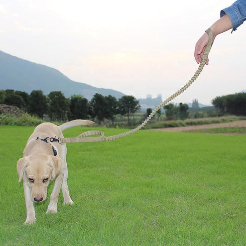 Tactical Bungee Dog Leash, Heavy Duty Fast Dispatch 2 Handle Control Quick Release Dog Training Leash
