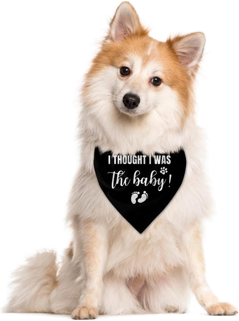 I Thought I was The Baby Dog Bandana, Triangle Scarf Accessories for Small Medium Large Dogs, Pregnancy Announcement