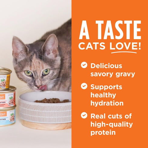 Instinct Flaked Duck Entrée Wet Cat Food, 3 Ounces, 24 Pack
