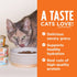 Instinct Flaked Lamb Entrée Wet Cat Food, 12 Pack, 5.5 Ounces Each