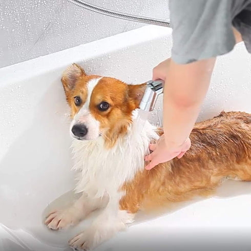 SUMERAIN Pet Shower Sprayer, Dog Shower Attachment with Solid Brass Diverter, 8 Feet Hose