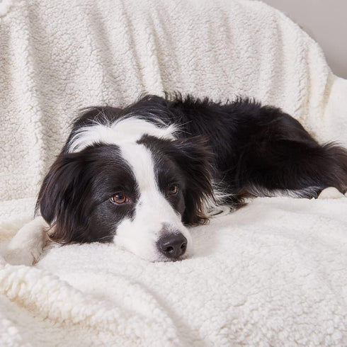 Qeils Dog Blankets for Large Dogs, Waterproof Cat Blanket, Washable Sherpa Fleece Puppy Blanket, Soft Plush Reversible