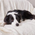 Qeils Dog Blankets for Large Dogs, Waterproof Cat Blanket, Washable Sherpa Fleece Puppy Blanket, Soft Plush Reversible