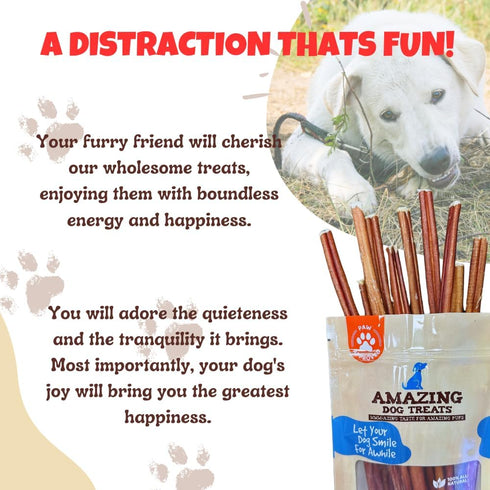 Amazing Dog Treats - Bully Sticks for Small Dogs (6 Inch Junior, 25 Count) - Premium Thin Chews for Puppies