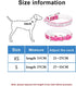 Adjustable Dazzling Sparkling Leather Bling Dog Collar, Crystal Diamond Dog Collar for Small Dogs, Rhinestone Cat