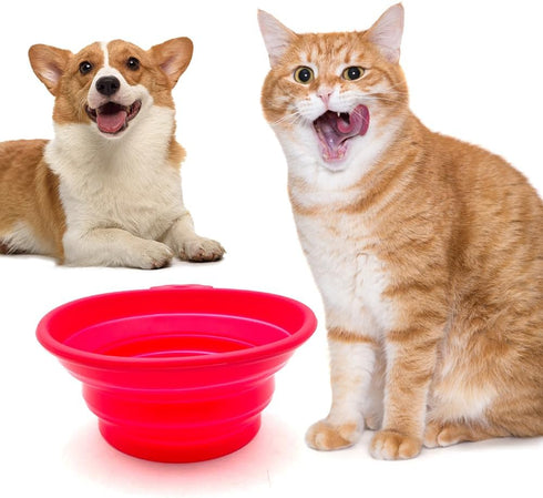 Large Collapsible Dog Cat Bowl Travel Water Food Bowls, 2 Pack Portable Foldable Pet Bowl for Walking Parking Outdoors Traveling