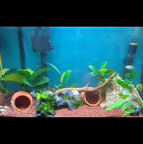 Fish Tank Decorations - Ceramic Pot Cave Aquarium Accessories for Fighting Fish, Shrimp, Cichlids to Play, Breed, Hide,