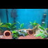 Fish Tank Decorations - Ceramic Pot Cave Aquarium Accessories for Fighting Fish, Shrimp, Cichlids to Play, Breed, Hide,