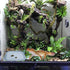 MAGNEECH 2 Pcs Leopard Gecko Potty Pad,Crested Gecko Potty LatrineLeopard Gecko TrayReptile Litter BoxPortable Gecko