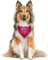 ZPPRJF Big Sister Dog Bandana, Dog Bandana, Deep Pink Pet Dog Scarf Accessories, Pet Dog Triangle Scarf, Dog Bandana