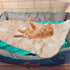 Faux Fur Dog Bed Rug, Plush and Fluffy Dog Mat, Luxury Soft Faux Sheepskin Cover, 24 by 36 inches