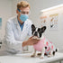 Kuoser Recovery Suit for Dogs Cats - After Surgery Professional Pet Recovery Shirt, Prevent Licking