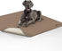 Paw Inspired Washable Pee Pad for Dogs | Leakproof, Non-Slip Reusable Puppy
