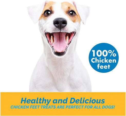 Chicken Feet Chews for Dogs, 16 Ounce
