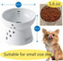 Necoichi Elevated Dog Food Bowl, Non-slip for Small Dogs, Dishwasher and Microwave Safe, Japan's No.1 Seller (Dog, Food