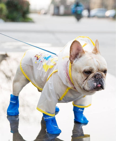 Puppy Dogs Candy Colors Anti-Slip Waterproof Rubber Rain Shoes, Boots Paws Cover (Blue, Large)