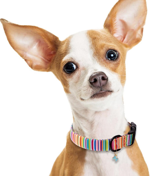 Faygarsle Dog Collar for Small Medium Large Dogs, Colorful Pinstripe Patterned Collars for Summer Spring Wedding, L