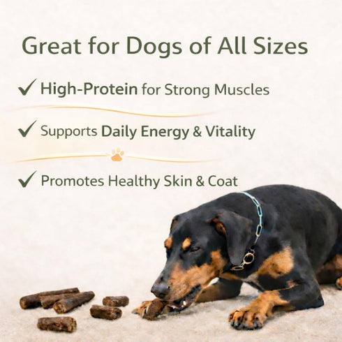 6 Inch (5 Count), Beef Sausage Jerky-Style Dog Treats Single Ingredient Grass-Fed Beef Dog Chews, Rawhide-Free