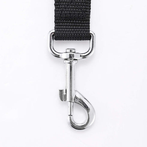 Strong Durable Nylon Dog Training Leash, 1 Inch Wide, 6 ft, 10 ft, 15 ft Long for Small and Medium Dogs (Black, 10 Feet)