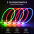 BSEEN Blue Light Up Dog Collar - 360° Visible Rainproof LED Rechargeable for Small Medium Large Dogs