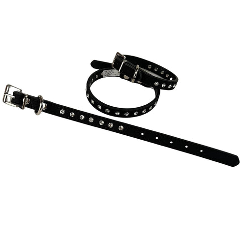 ATE Pro. USA 5 Set, Set, Puppy Supplies Starter Kit, pc Retractable Leash, Studded Leather Collar, Pet Grooming Brush