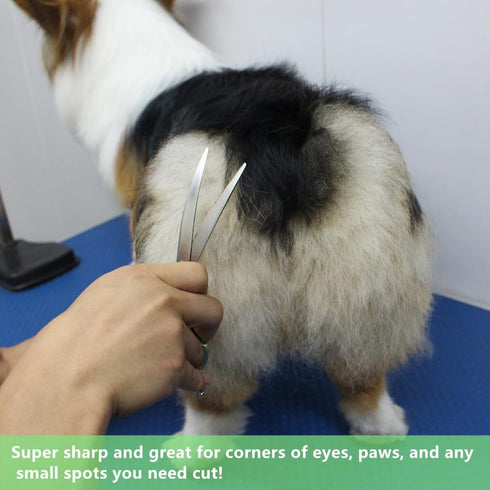 HASHIMOTO Curved Scissors for Dog Grooming, Extremely Light Weight, 6.5 inch, 30 Degree Curved Blade, Matt Surface