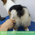 HASHIMOTO Curved Scissors for Dog Grooming, Extremely Light Weight, 6.5 inch, 30 Degree Curved Blade, Matt Surface