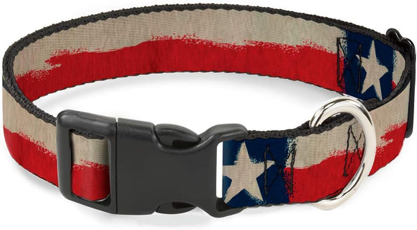 Buckle-Down Plastic Clip Collar - Texas Flag CLOSE-UP Distressed Painting - 1" Wide, Fits 15-24" Neck
