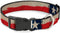 Buckle-Down Plastic Clip Collar - Texas Flag CLOSE-UP Distressed Painting - 1" Wide, Fits 15-24" Neck