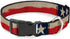 Buckle-Down Plastic Clip Collar - Texas Flag CLOSE-UP Distressed Painting - 1" Wide, Fits 15-24" Neck