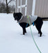 Reflective Dog Leash - 2/3/4/6/10 Foot Strong Nylon Rope Braided Heavy Duty for Large and Medium Small Dogs Walking