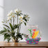 Koller Products 1-Gallon Fish Bowl, Shatterproof Plastic with Crystal Clear Clarity
