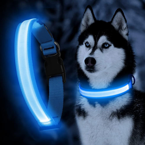 YFbrite Ultra Light Adjustable LED Dog Collar, Rechargeable Glowing in The Dark for Small, Medium, Large Dogs, Blue