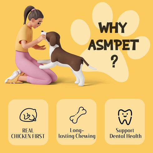 (20 10.6 oz) ASMPET Dog Treats Chews, Chicken Wrapped Rawhide Sticks Dog Snacks for Training Rewards pcs