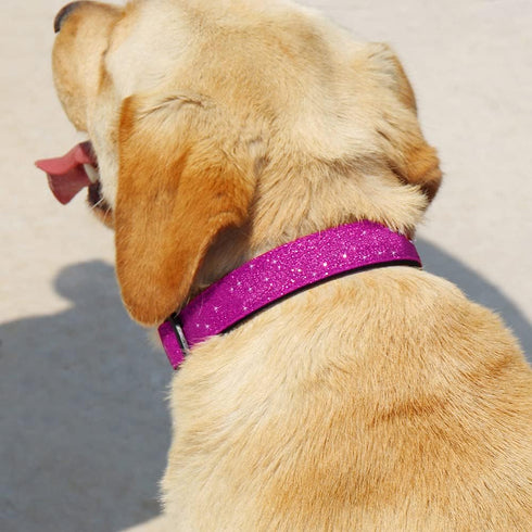 Glittering Basic Dog Collar, Comfy Durable Adjustable Nylon for Small Medium Large Dogs, Eco-Friendly Plastic Buckle,