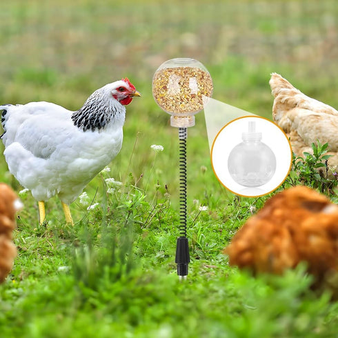 Kalekey 2 Pack Chicken Feeding Toy, Chicken Enrichment Toys with Spring and Ground Stake, Chicken Treat Dispenser Peck