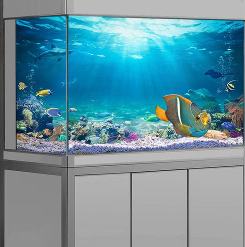 36X24IN Under The Sea Coral Reef Aquarium Background - Terrarium Background with 10 EVA Tape