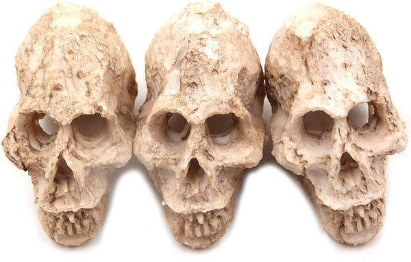 Driak 3Pcs Fish Tank Decorative Aquarium Decorations - Head Bone Skull Resin Ornament for Reptile or Fish
