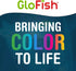 GloFish Aquarium Gravel 5 Pounds, Pearlescent, Complements Tanks and Décor, AQ-78484
