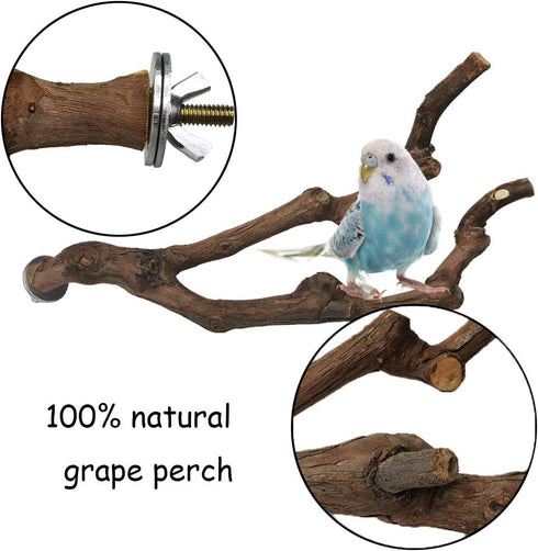 PINVNBY Natural Parrot Perch Bird Stand Pole, 2PCS Wild Grape Stick for Small Lovebirds Budgies Cockatiels