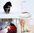 Pet Feeding Reminder for Dogs Cats - Magnetic Sticker 3 Times A Day Indication Chart, Did You Feed Your Pet?