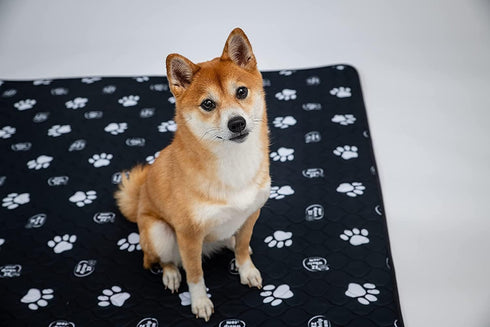 48x48 Inch, 2 Pack EZwhelp Reusable Dog Pee Pads, Washable Waterproof Mats for Dog Potty Training or Whelping Pads