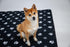 24x48 Inch, 2 Pack EZwhelp Reusable Dog Pee Pads, Washable Waterproof Mats for Dog Potty Training or Whelping Pads