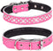 Rhinestones Dog Collar - Adjustable Sparkly Crystal Studded Genuine Leather for Small and Medium Breeds (M fit Neck