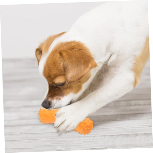 Dog Toy Pet Latex Chew Toys, Puppy Chew Pacifier, Decorative Bite Toy for Interactive Training, Small Dog Outdoor