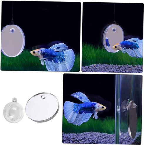 Betta Training Mirror Set, Decorative Fish Tank Toys, Plastic Round Sports Mirror for Betta Tank