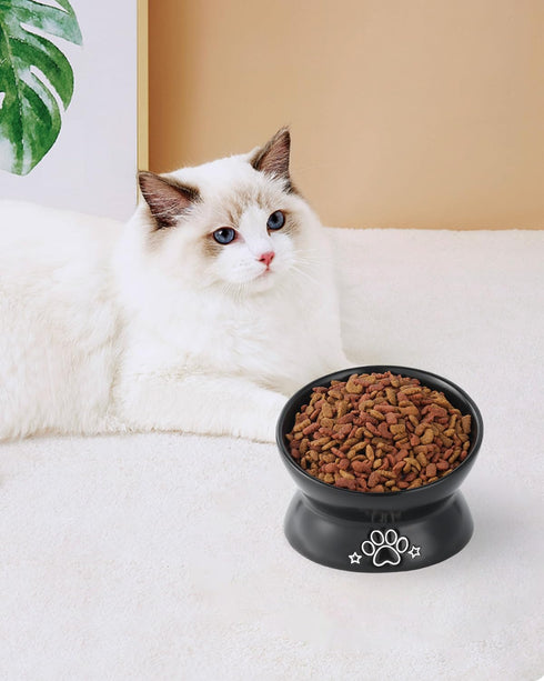 Elevated Cat Food Bowl, 5 Oz Ceramic Raised and Tilted Water Bowl, Anti Vomiting and Protect Pets' Spines Dishes for