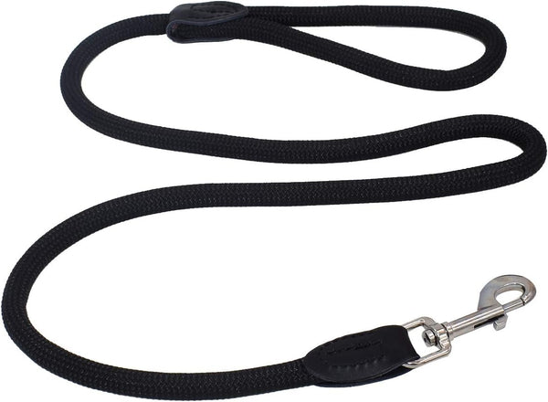 Dog Leash 4 Feet, Comfortable Nylon Rope for Medium Small Dogs Daily Training